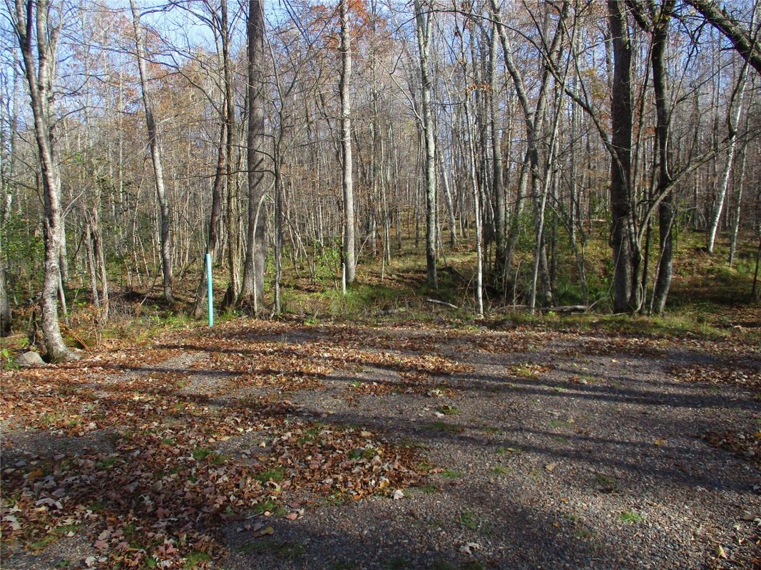 LOT #25 Lakeshore Drive & 28 1/8 Street, Birchwood WI 54817 - Land house for sale - MLS #1605905 - image4