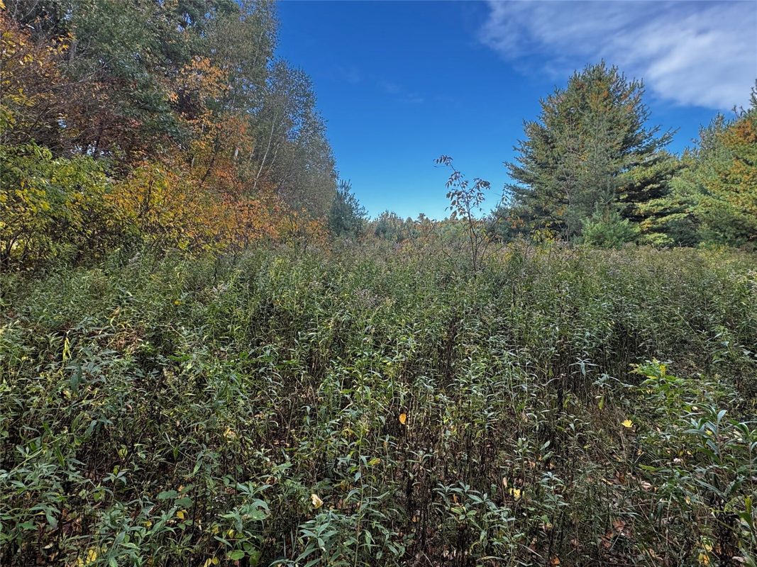 3461 56th, Frederic WI 54837 - Land house for sale - MLS #1605729 - image24