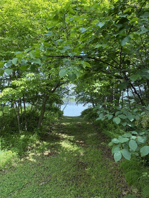 29308 305th Avenue, Holcombe WI 54745 - Residential house for sale - MLS #1604124 - image52