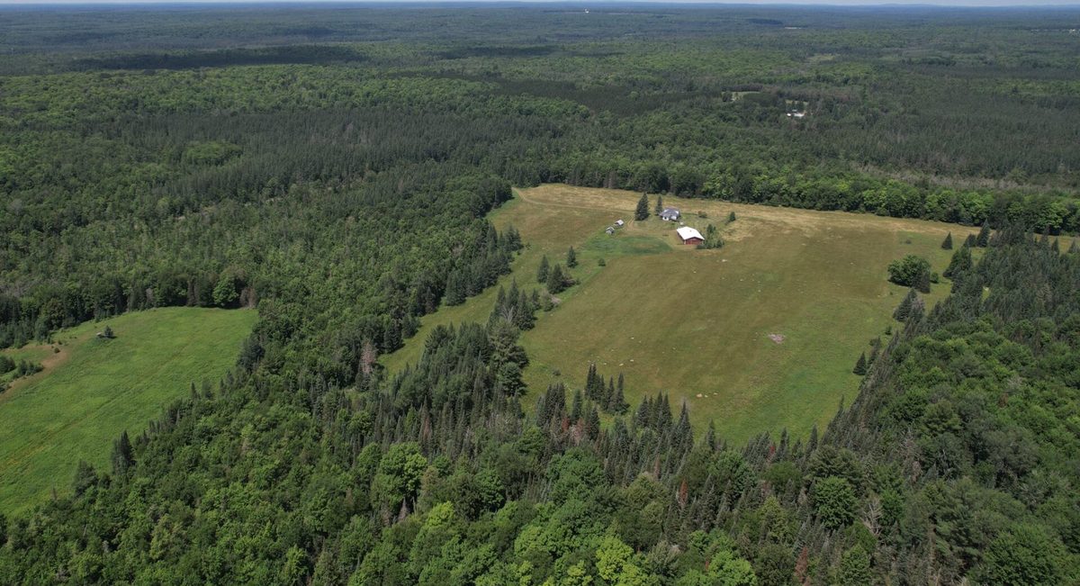 N16798 Bass Lake Road, Butternut WI 54514 - Residential house for sale - MLS #1603059 - image49