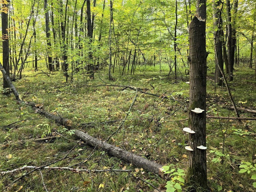 N 3368 Sawdust Rd., Bruce WI 54819 - Residential house for sale - MLS #1605552 - image23