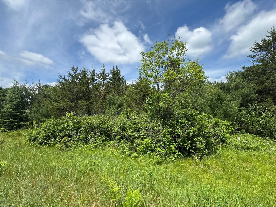 N 6398 Fred Tripp Road, Springbrook WI 54875 - Land house for sale - MLS #1602077 - image9