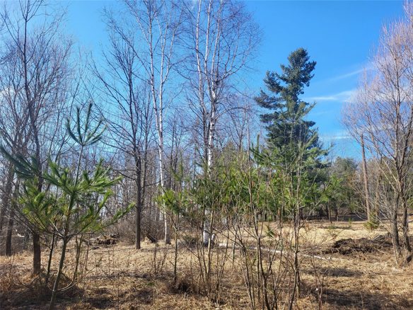 W7482 30th Avenue, Barronett, WI