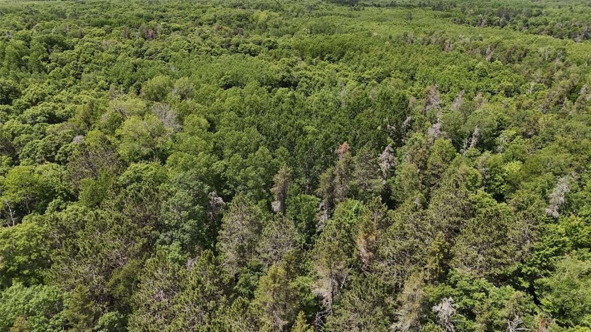 12997 Mail Road, Gordon WI 54838 - Residential house for sale - MLS #1602637 - image33
