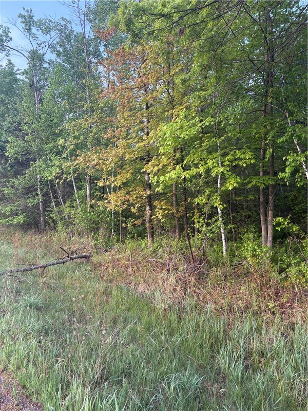 0 Highway 12, Merrillan, WI — photo 3