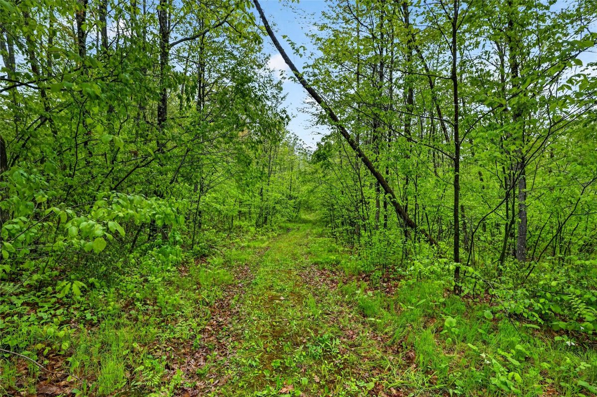N8771 Fye Road, Trego WI 54888 - Land house for sale - MLS #1603147 - image24