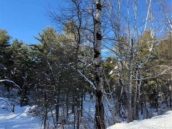 Lot 4 CSM 2370 Kavanaugh Road, Cable, WI