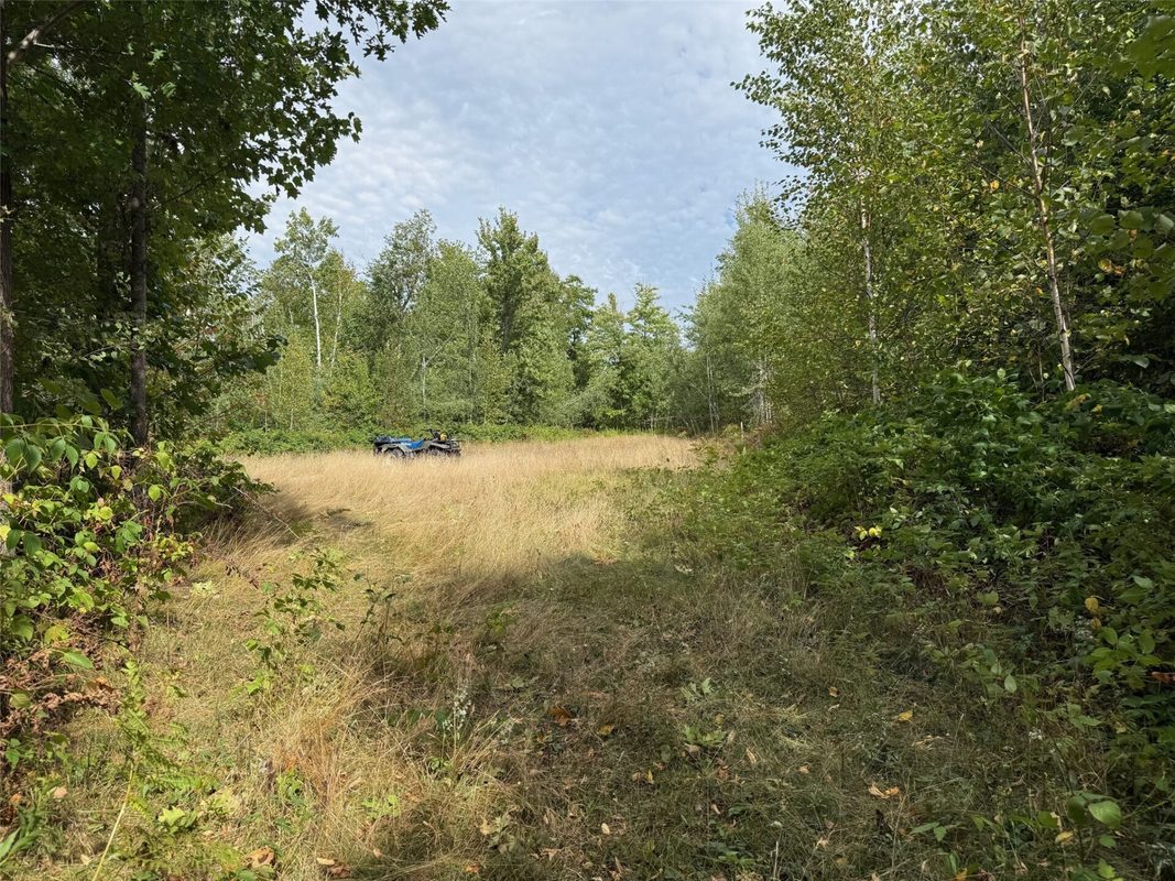 0 Edgewood Drive, Springbrook WI 54875 - Land house for sale - MLS #1605076 - image3