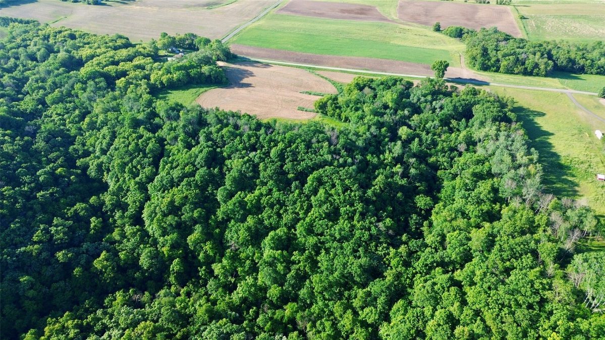 15.01 Acres 160th Avenue, Maiden Rock WI 54750 - Land house for sale - MLS #1604580 - image16