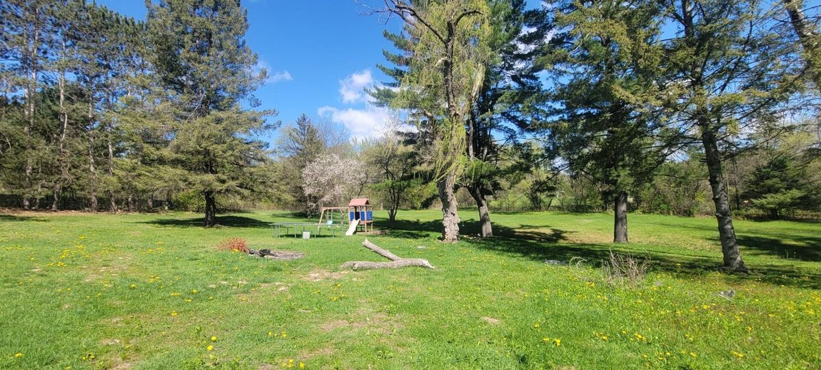 W11390 Cooper Road, Black River Falls, WI — photo 6