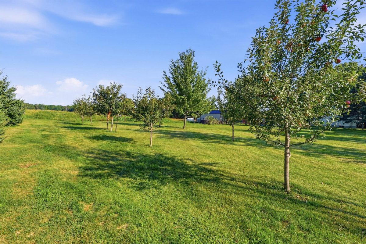 N16304 State Road 73, Thorp WI 54771 - Residential house for sale - MLS #1604759 - image37