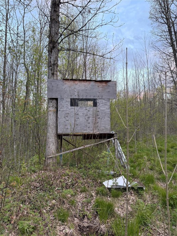 27.6 Acres off Helena Drive, Conrath WI 54731 - Land house for sale - MLS #1605499 - image13