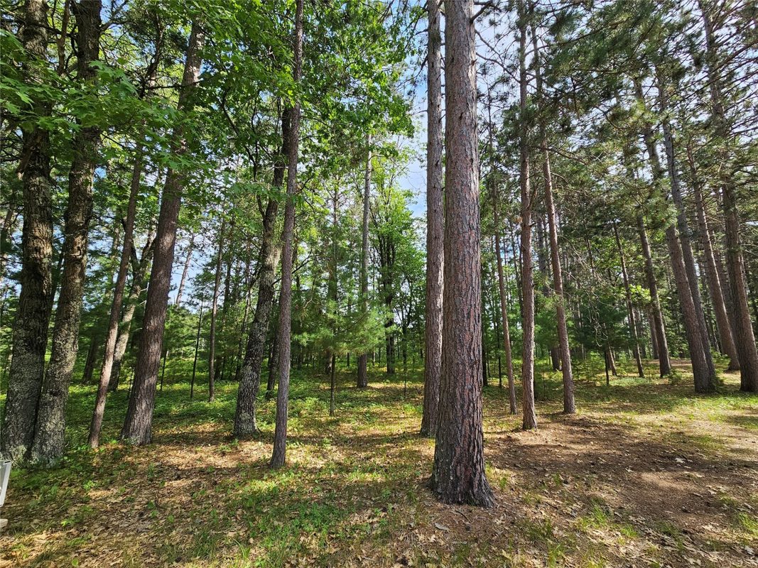 3307 State Road 77, Danbury WI 54830 - Residential house for sale - MLS #1602613 - image47