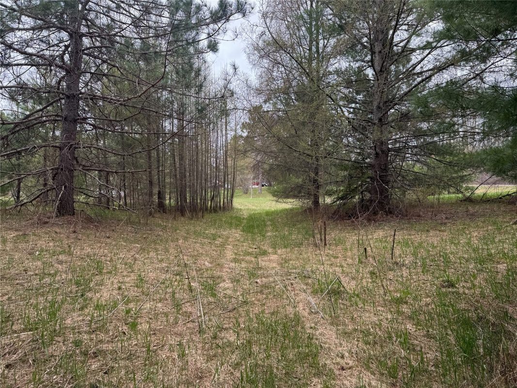 Lot 3 (5 acres) on County Rd P, Lake Nebagamon, WI — photo 20