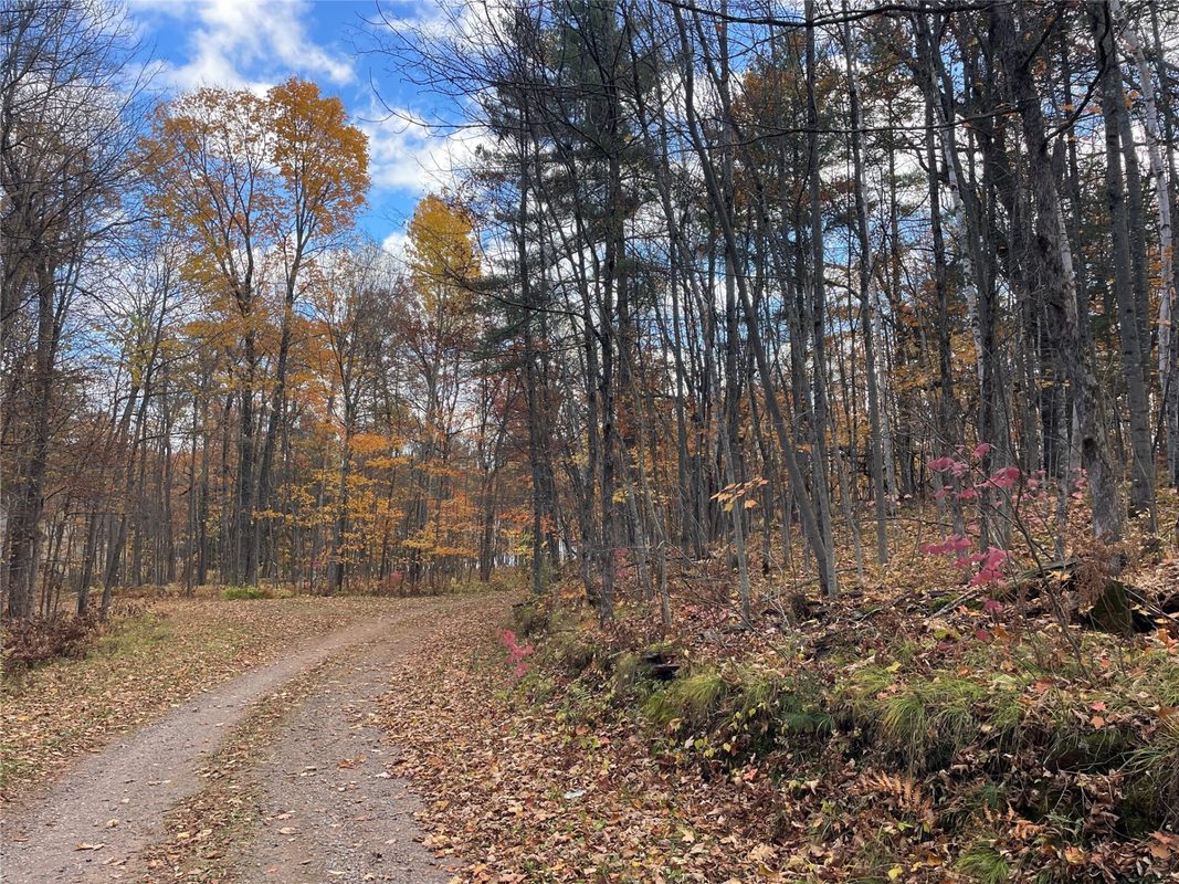 7 W Tanager Trail, Hayward, WI — photo 32