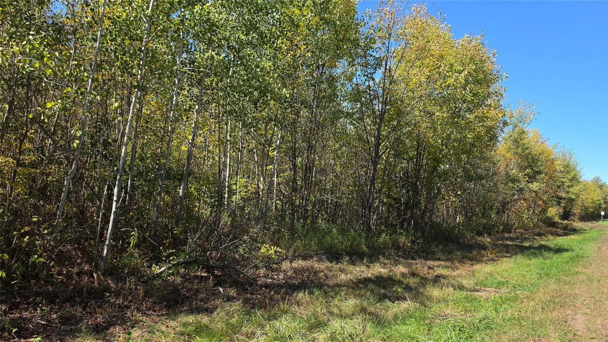 On County HWY W, Winter WI 54896 - Land house for sale - MLS #1605419 - image4