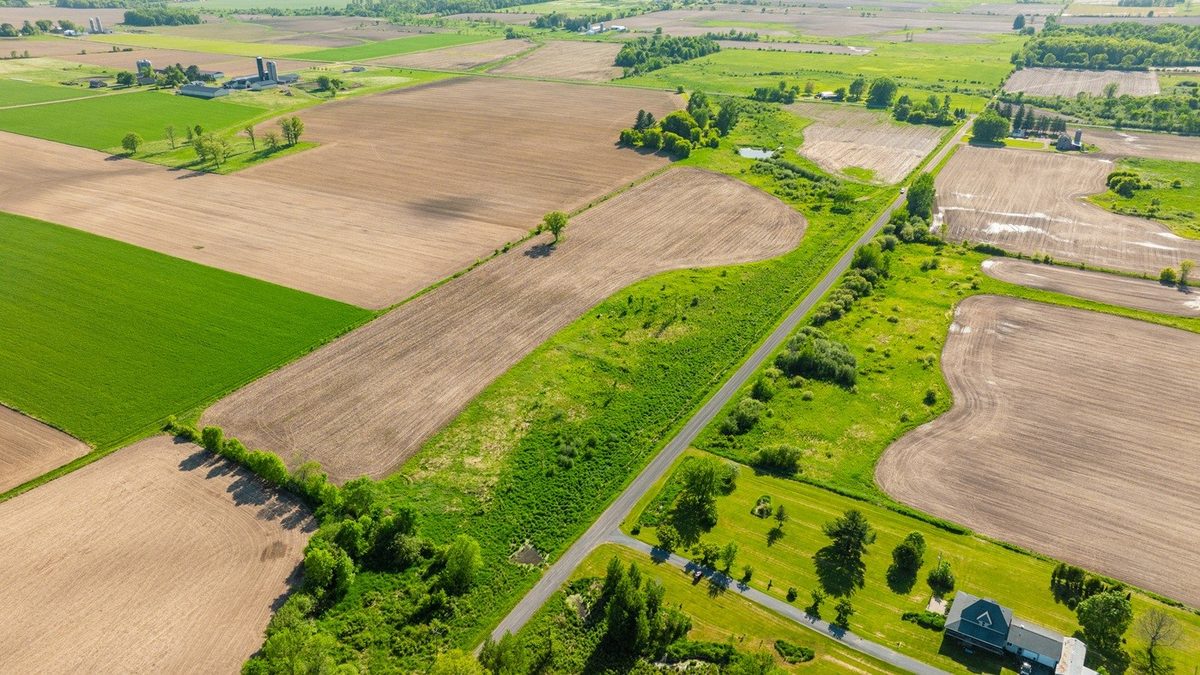0 Nyes Road, Stanley WI 54768 - Land house for sale - MLS #1601802 - image3