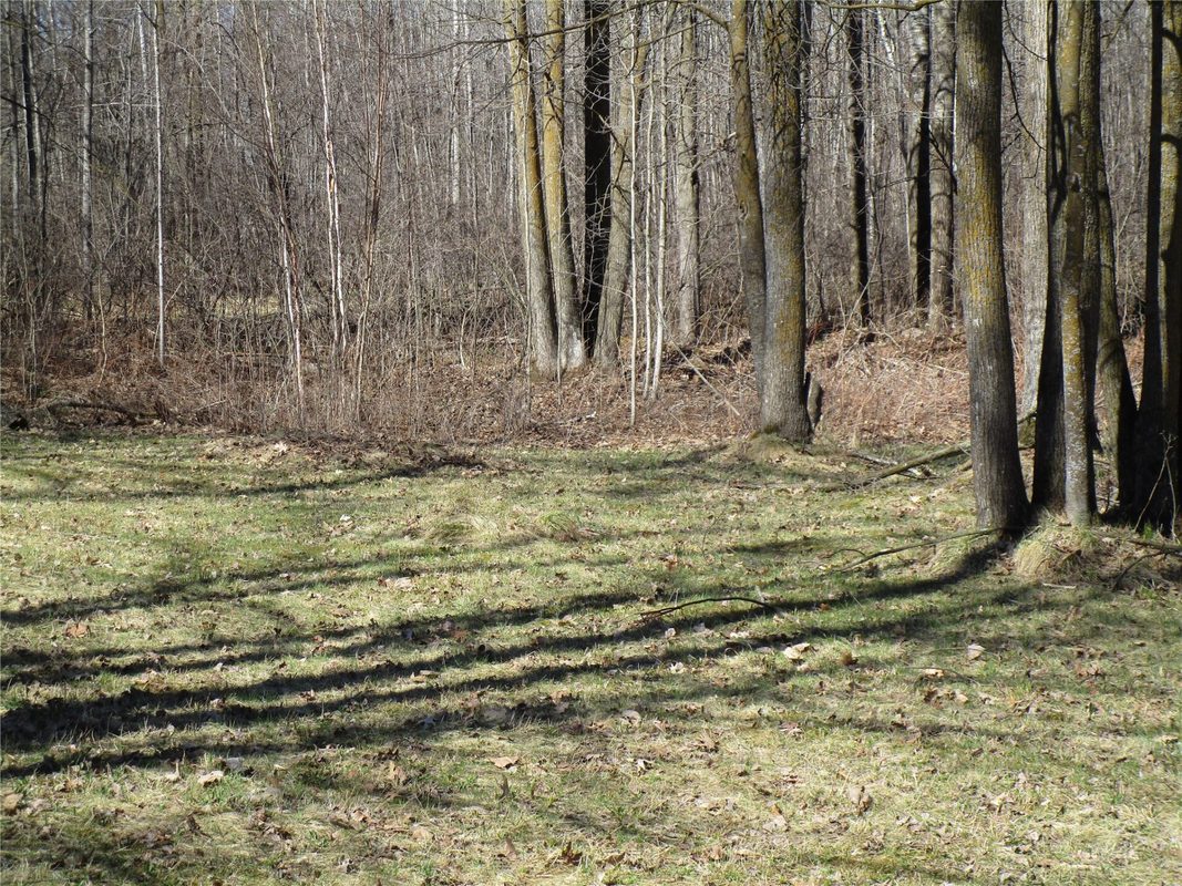 N7110 Hackett Road, Hawkins WI 54530 - Land house for sale - MLS #1600843 - image11