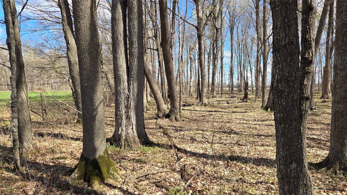 012345 26th Avenue, Rice Lake WI 54868 - Land house for sale - MLS #1602600 - image15