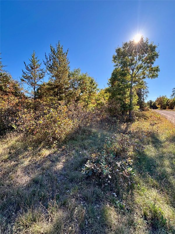 9524 Bergin Springs Road, Solon Springs WI 54873 - Land house for sale - MLS #1605714 - image19