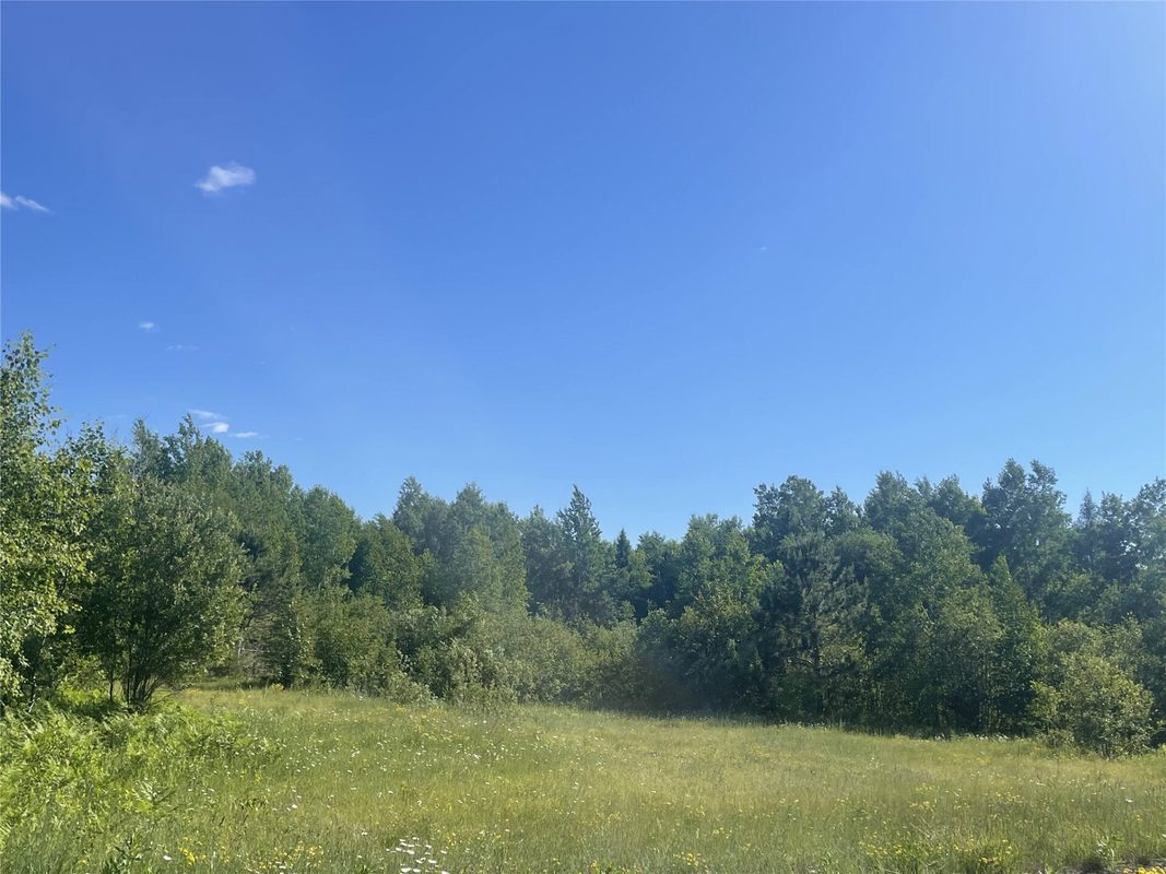 39+/- A on County Highway E, Iron Belt WI 54536 - Land house for sale - MLS #1602959 - image9