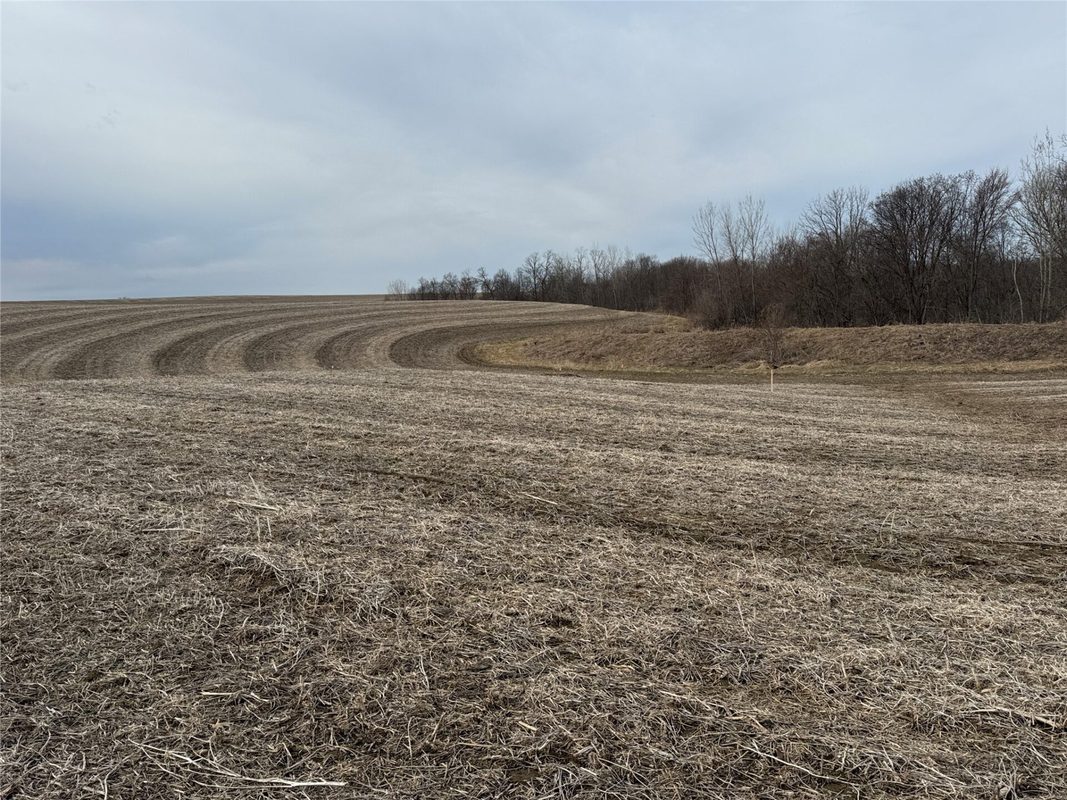 TBD County Road JJ Stockholm WI 54769 — photo 13