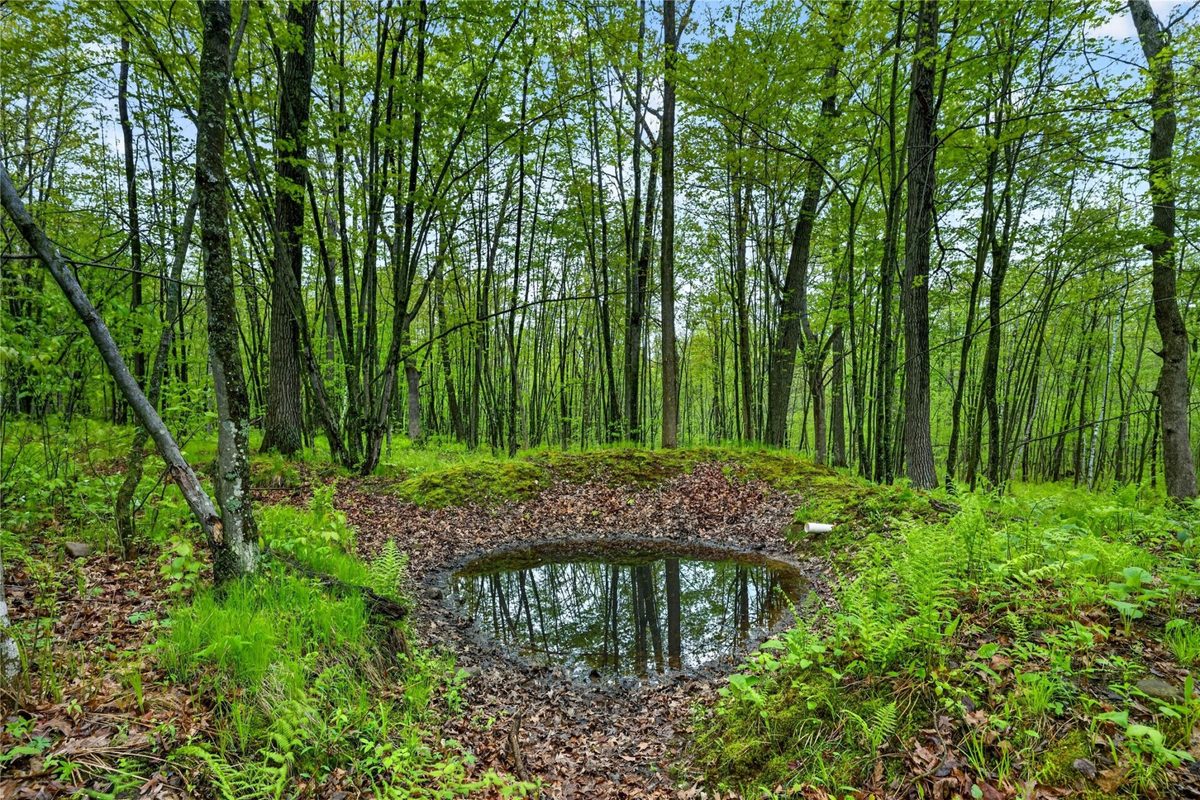 N8771 Fye Road, Trego WI 54888 - Land house for sale - MLS #1603147 - image11