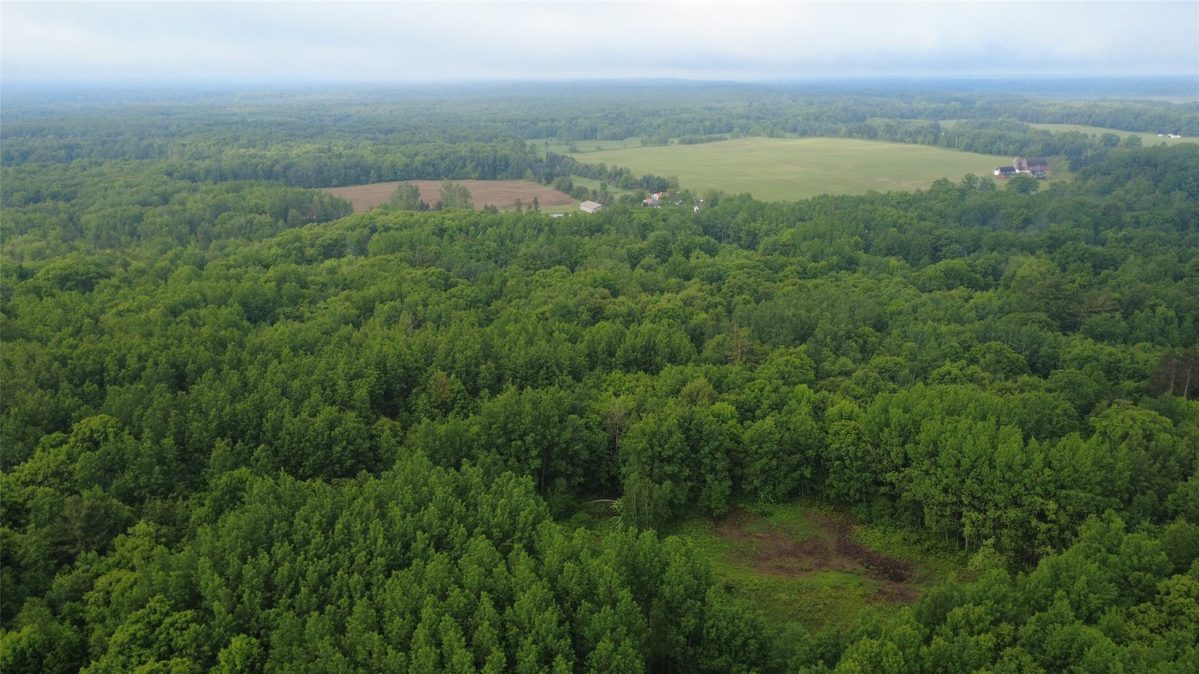 000 Boundary Road, Ringle WI 54471 - Land house for sale - MLS #1602183 - image20