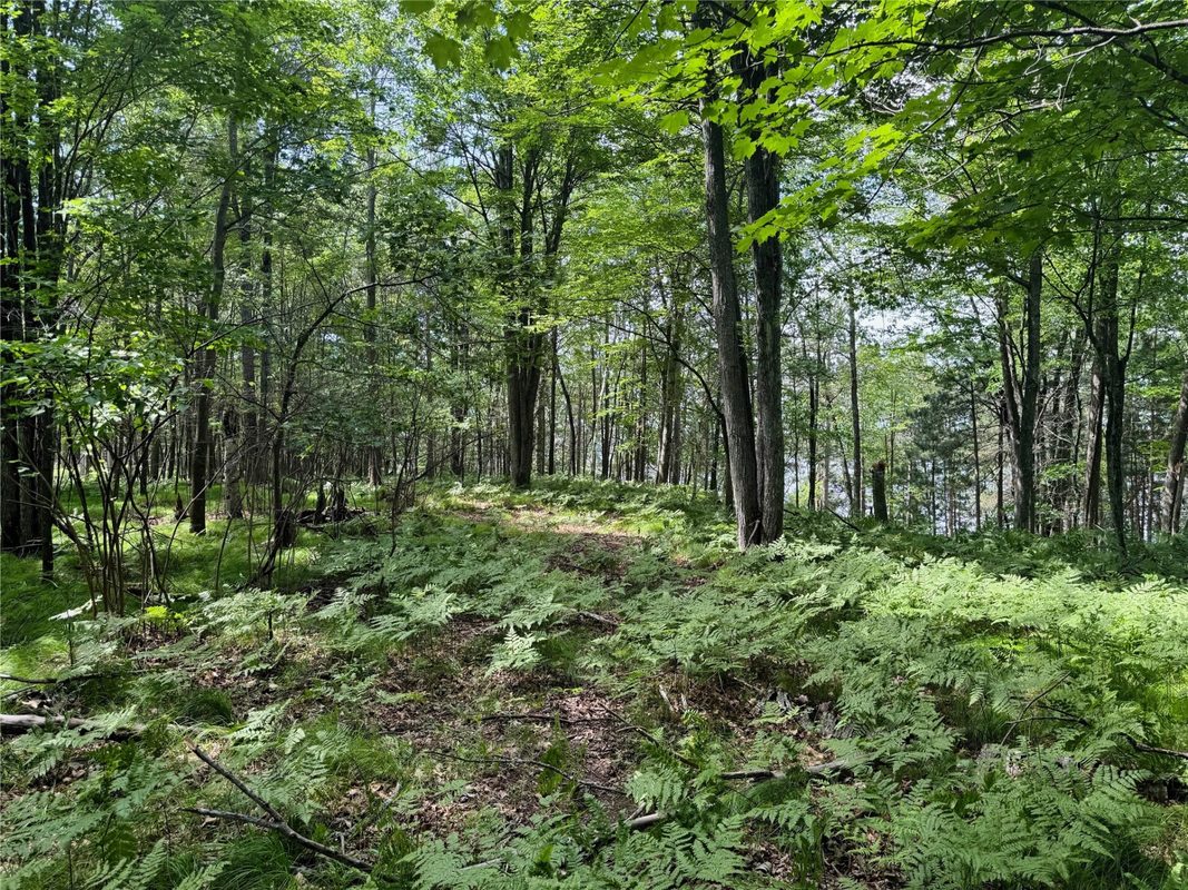 11149 Merganser Lane, Hayward WI 54843 - Land house for sale - MLS #1604672 - image25