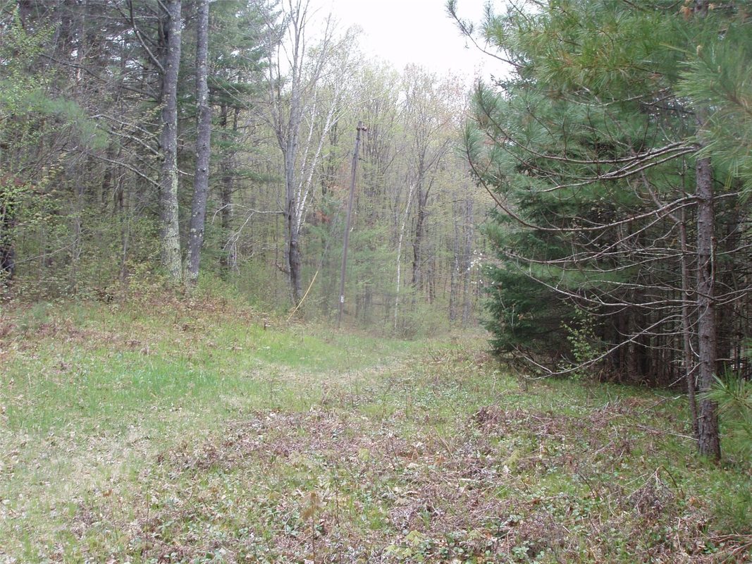 N16473 Patterson Lake Road, Park Falls WI 54552 - Land house for sale - MLS #1603551 - image3
