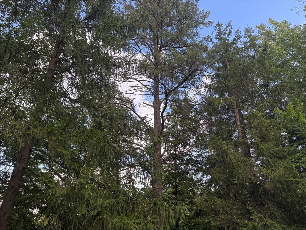 900 County Road A, Tomahawk WI 54487 - Land house for sale - MLS #1604619 - image34