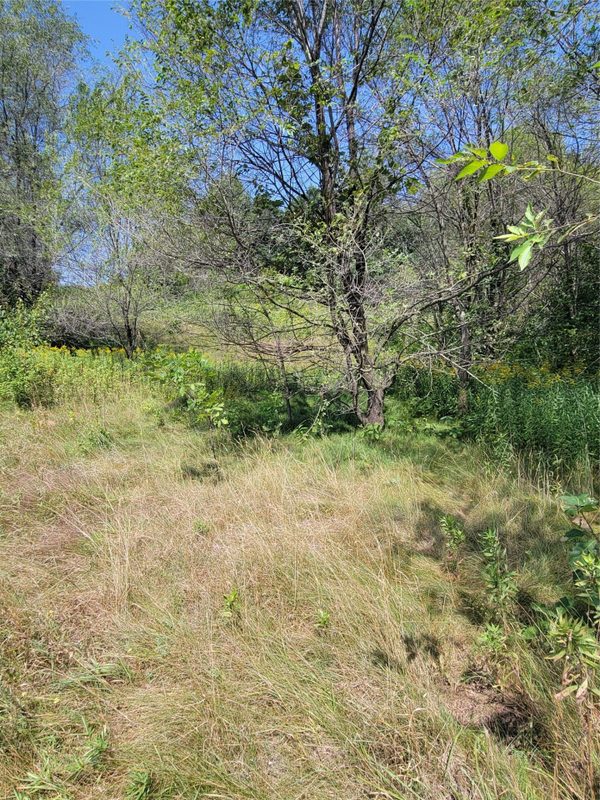 308 Arbor Hills Circle, Eau Claire WI 54703 - Land house for sale - MLS #1604405 - image3