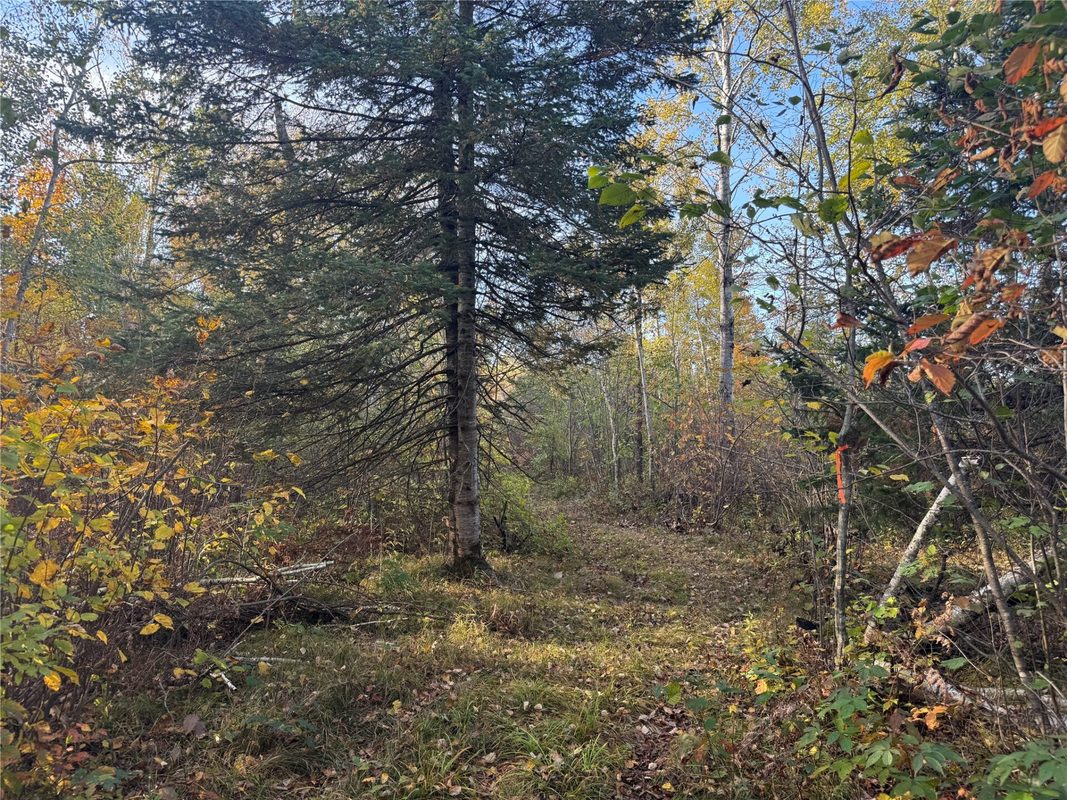 W11199 Edgewood Avenue, Bruce WI 54848 - Land house for sale - MLS #1605749 - image38