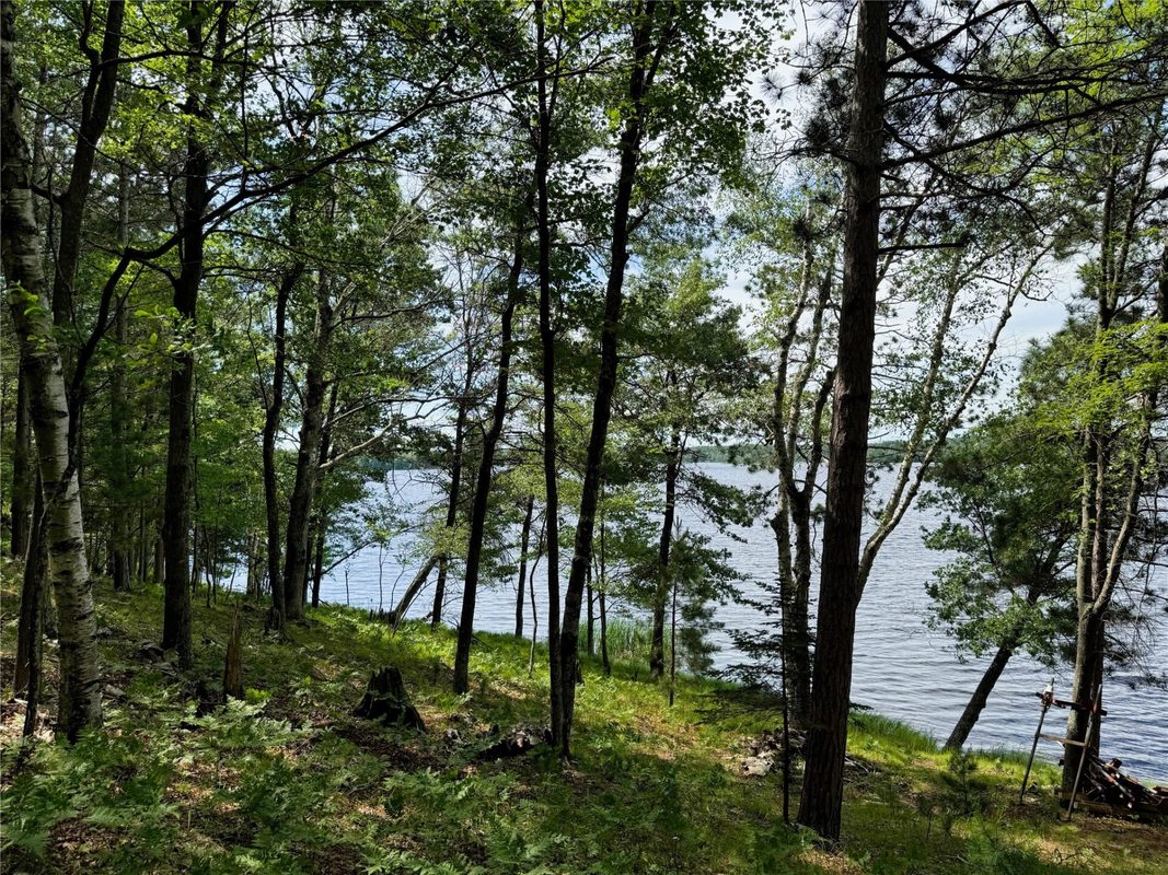 11149 Merganser Lane, Hayward WI 54843 - Land house for sale - MLS #1604672 - image6