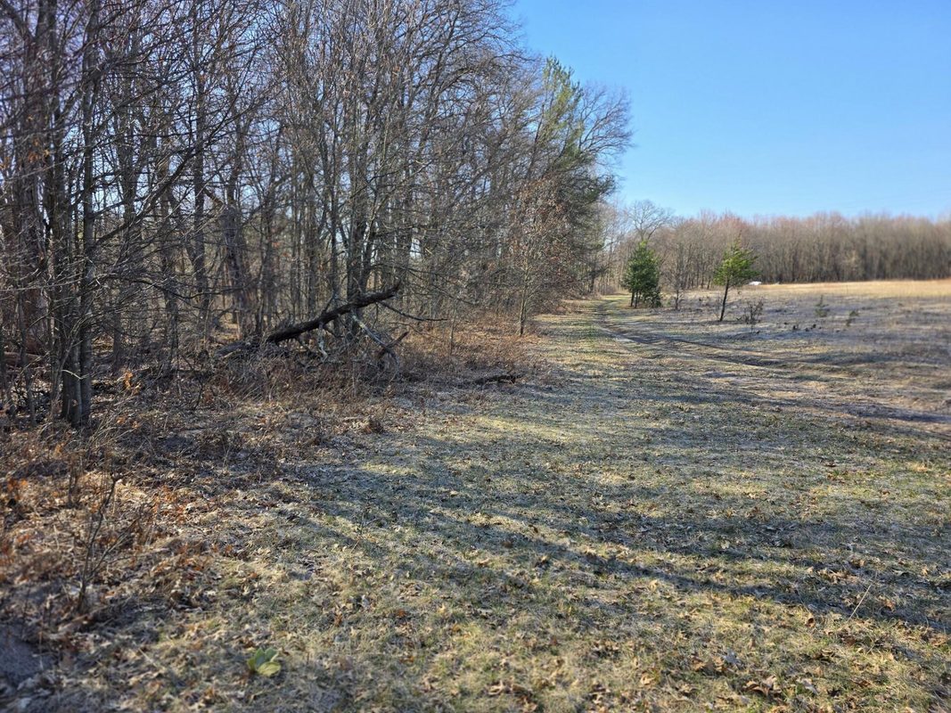 Lot 2 Buck Rub Road Eau Claire WI 54703 — photo 15