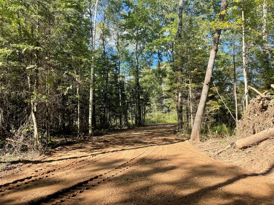 Lot 2 Fadness Road, Winter WI 54896 - Land house for sale - MLS #1605242 - image14