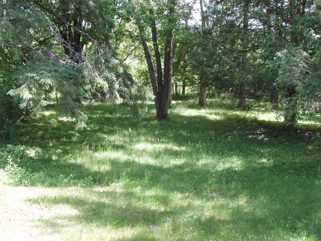 563 3rd Avenue, Park Falls WI 54552 - Residential house for sale - MLS #1605276 - image4