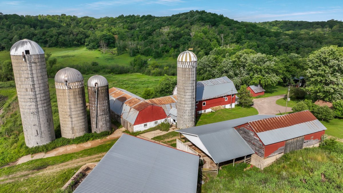 N3684 Claire Road Taylor WI 54659 — photo 36