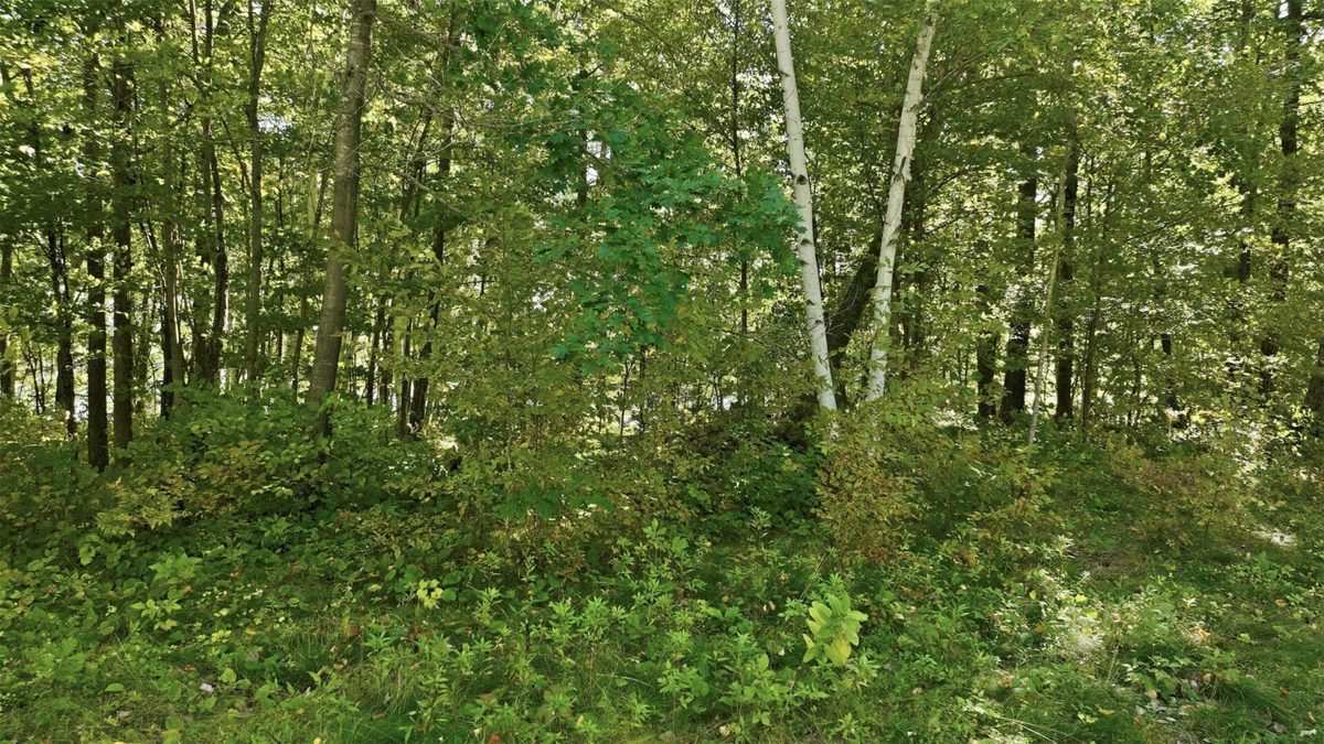 Lot 2 Sugar Bay Road, Chetek WI 54728 - Land house for sale - MLS #1605220 - image19