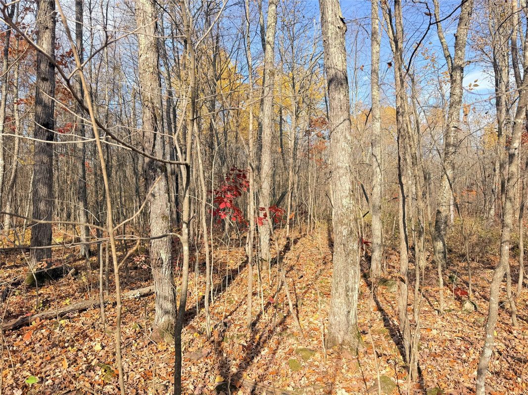 0 County Highway C, Rice Lake WI 54868 - Land house for sale - MLS #1605929 - image51