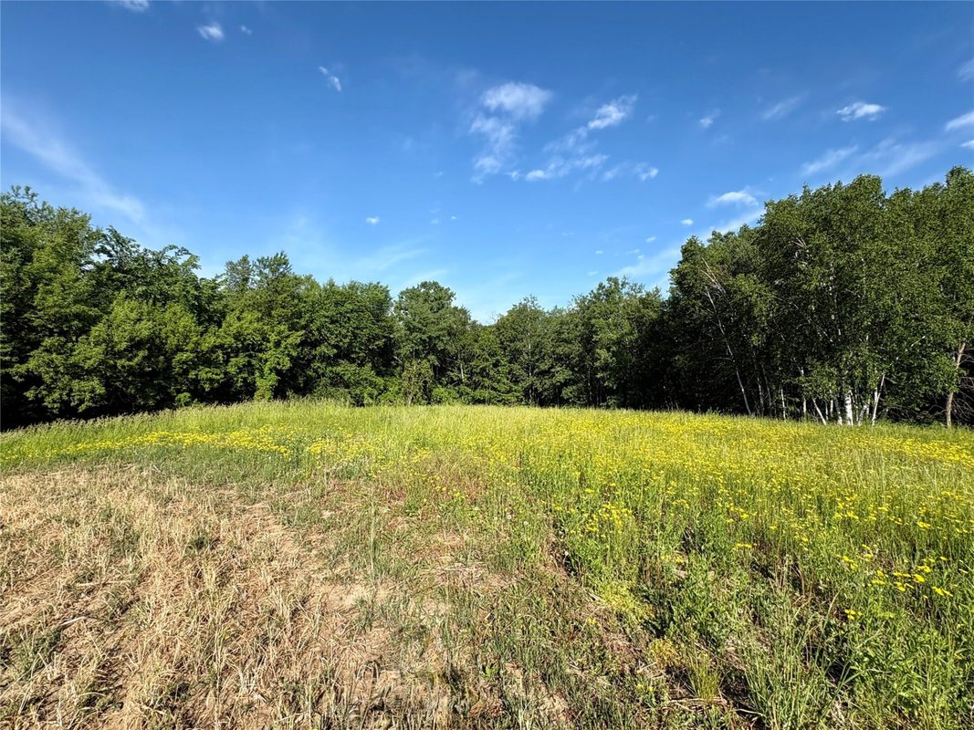 15.01 Acres 160th Avenue, Maiden Rock WI 54750 - Land house for sale - MLS #1604580 - image42