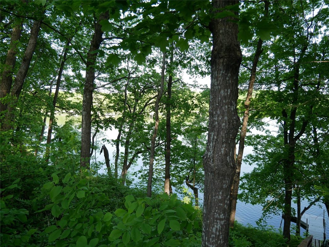 N1003 Deerhead Point Drive, Chetek WI 54728 - Residential house for sale - MLS #1599392 - image21