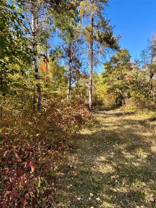 9524 Bergin Springs Road, Solon Springs WI 54873 - Land house for sale - MLS #1605714 - image5