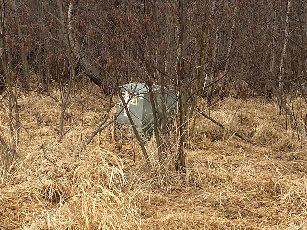 ON Shauger Road, Ogema, WI — photo 6