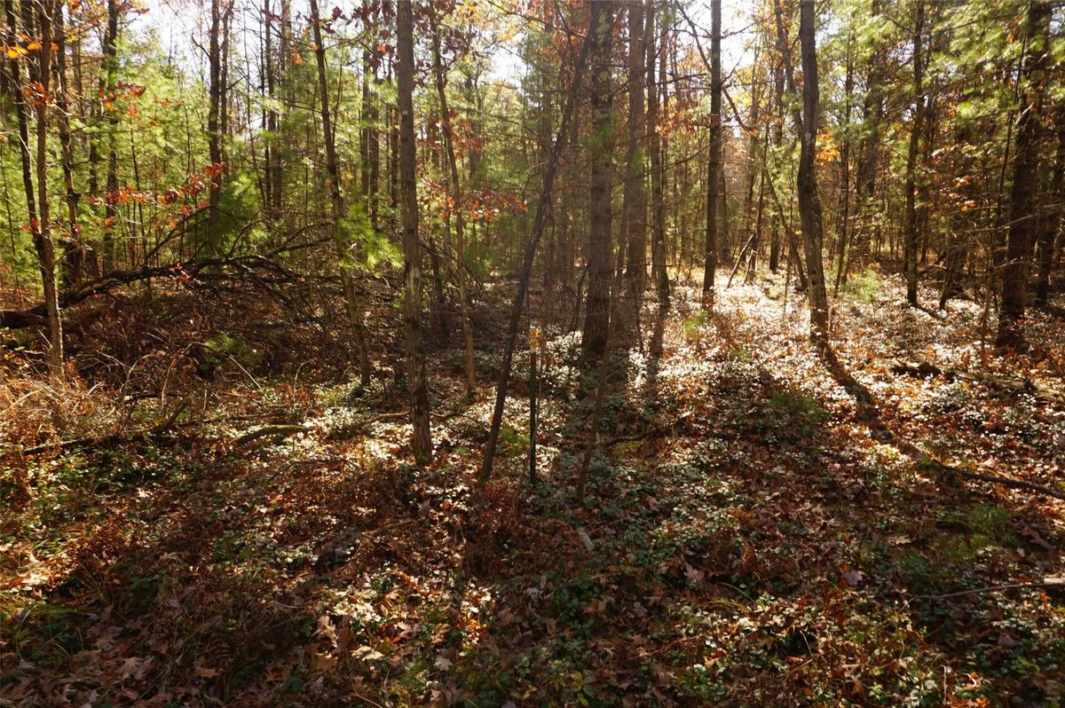 Lot 6 County Road J, Neillsville WI 54456 - Land house for sale - MLS #1606165 - image7