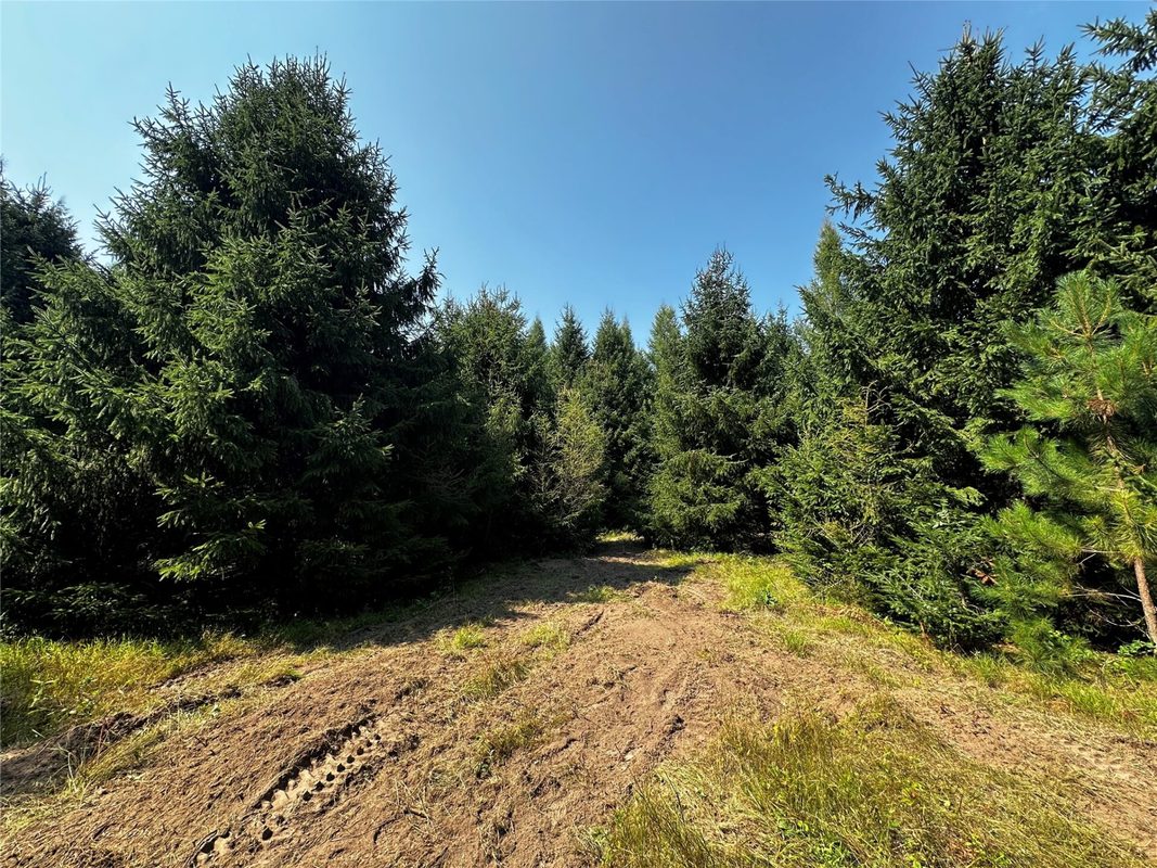 N9679 630th Street, Colfax WI 54730 - Land house for sale - MLS #1604625 - image2