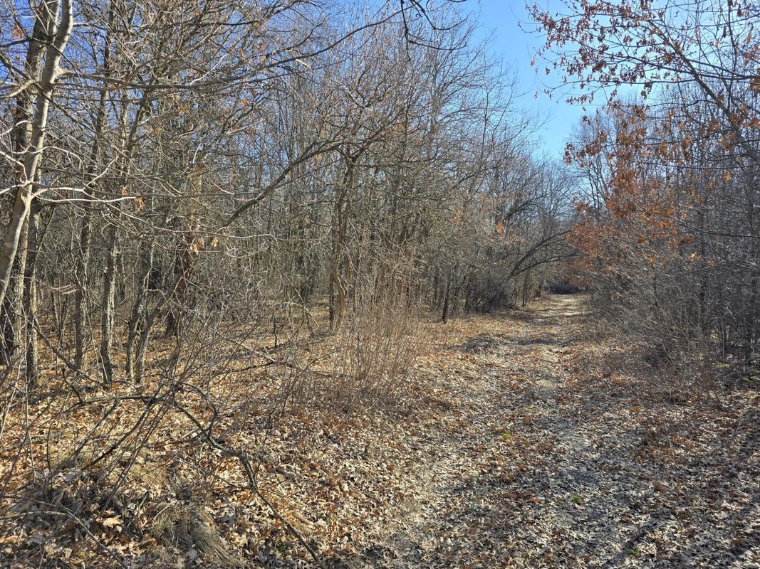 Lot 2 Buck Rub Road Eau Claire WI 54703 — photo 6