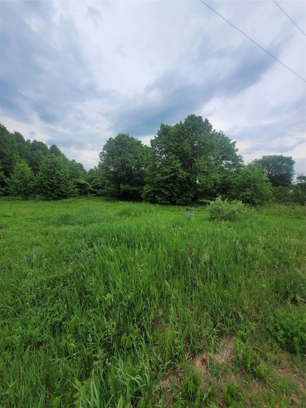 0000 County Hwy B Lot 4, Neillsville WI 54456 - Land house for sale - MLS #1597957 - image4