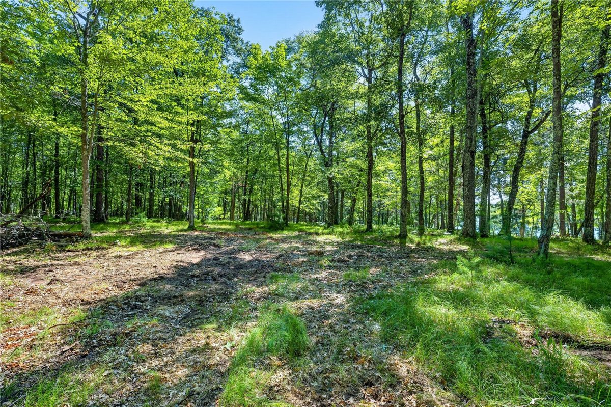 51260 Birch Lake Road, Barnes WI 54873 - Land house for sale - MLS #1603549 - image15