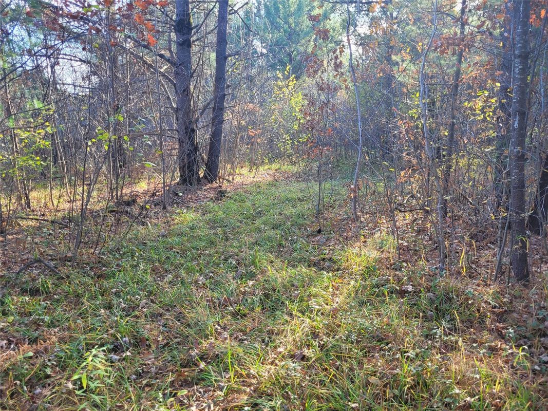 N10835 Kovar Road, Merrillan WI 54741 - Land house for sale - MLS #1606219 - image18